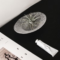 Dråbe 雨凝玻璃盤